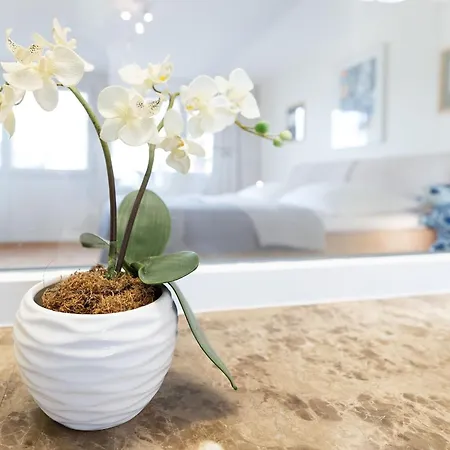 Haus Eva Mar Am 1 아파트 티멘도르프스트랜드